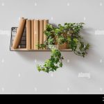 Wall Shelf Ideas for Books Plants and More Wall Shelf Ideas for Books Plants and More