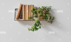 Wall Shelf Ideas for Books Plants and More Wall Shelf Ideas for Books Plants and More