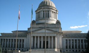 Best-Selling Lifestyle Items and Their Impact on Consumer Trends Unveiled Best-Selling Lifestyle Items and Their Impact on Consumer Trends Unveiled