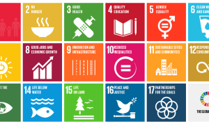 Sustainable Lifestyle Products That Are Changing the Market Sustainable Lifestyle Products That Are Changing the Market