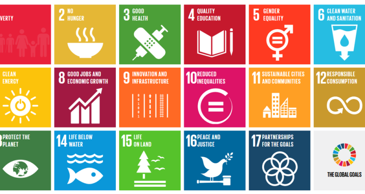 Sustainable Lifestyle Products That Are Changing the Market