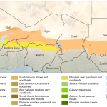 Using General News to Predict Consumer Demand in Various Markets Using General News to Predict Consumer Demand in Various Markets
