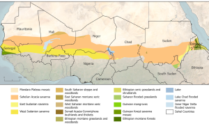 Using General News to Predict Consumer Demand in Various Markets Using General News to Predict Consumer Demand in Various Markets